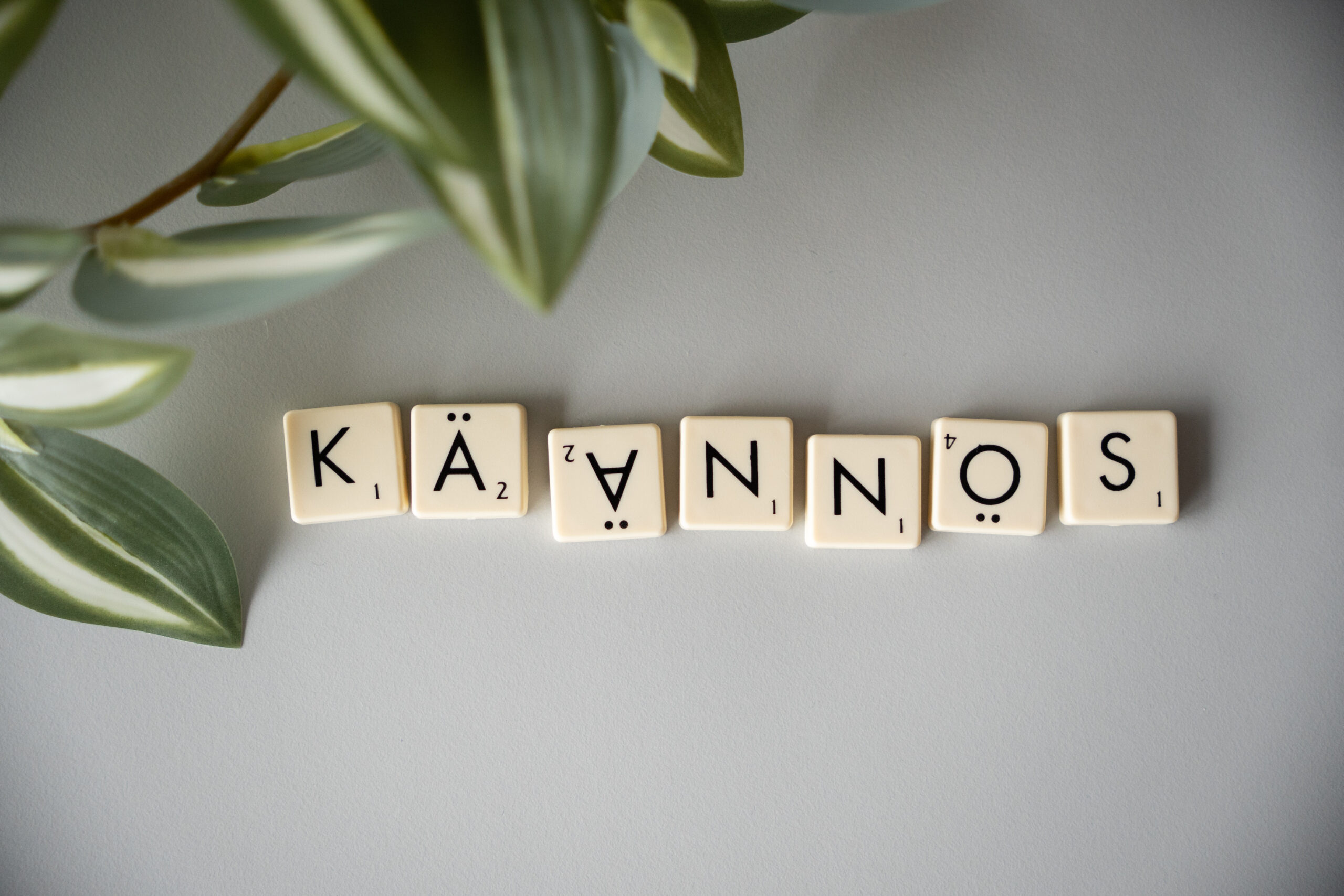 Scrabble-palikoista muodostettu sana KÄÄNNÖS jossa osa paikoista ylösalaisin.